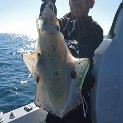 フィッシングボートACE(エース) 釣果