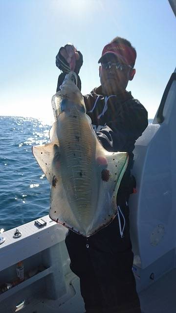 フィッシングボートACE(エース) 釣果