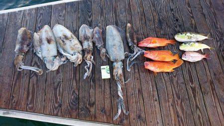 フィッシングボートACE(エース) 釣果