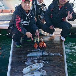 フィッシングボートACE(エース) 釣果