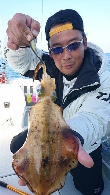 フィッシングボートACE(エース) 釣果