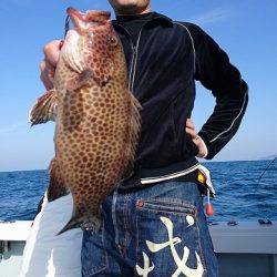 フィッシングボートACE（エース） 釣果