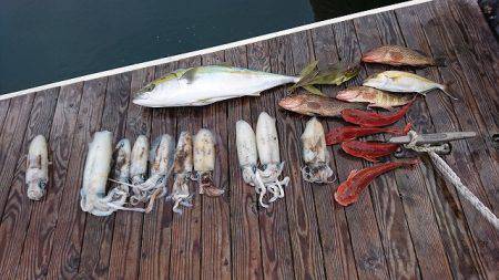 フィッシングボートACE（エース） 釣果