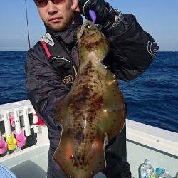 フィッシングボートACE(エース) 釣果