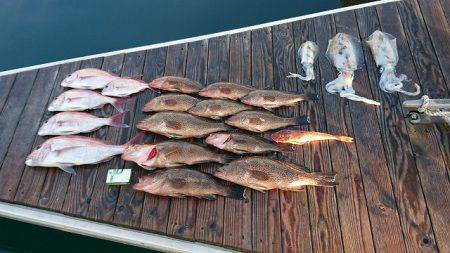 フィッシングボートACE(エース) 釣果