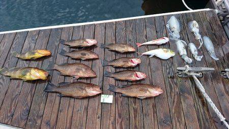 フィッシングボートACE(エース) 釣果