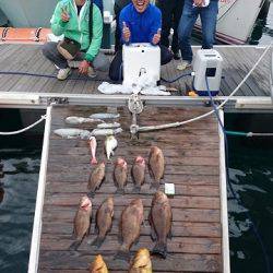 フィッシングボートACE(エース) 釣果