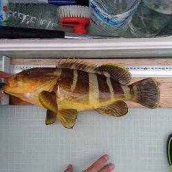 フィッシングボートACE（エース） 釣果