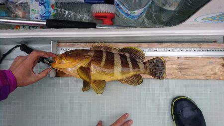 フィッシングボートACE（エース） 釣果