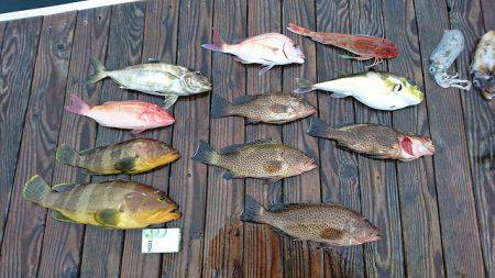 フィッシングボートACE（エース） 釣果