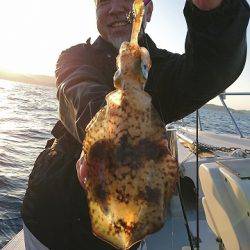 フィッシングボートACE(エース) 釣果