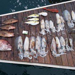 フィッシングボートACE(エース) 釣果