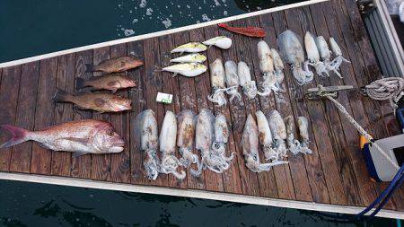 フィッシングボートACE(エース) 釣果