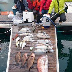 フィッシングボートACE(エース) 釣果