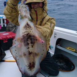 フィッシングボートACE(エース) 釣果