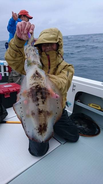 フィッシングボートACE(エース) 釣果