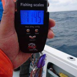 フィッシングボートACE(エース) 釣果