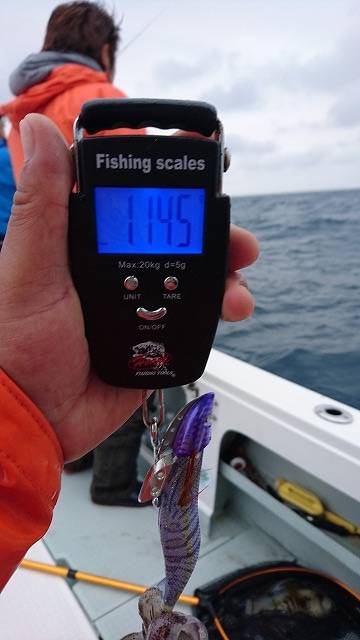 フィッシングボートACE(エース) 釣果