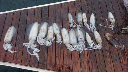 フィッシングボートACE(エース) 釣果