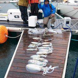 フィッシングボートACE(エース) 釣果