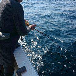海皇丸 釣果