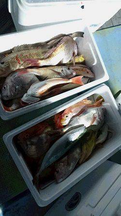 海皇丸 釣果