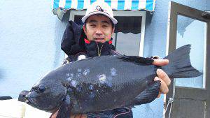 伊豆下田フィッシング 釣果