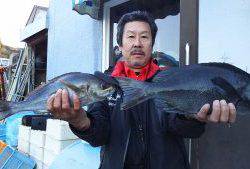 伊豆下田フィッシング 釣果