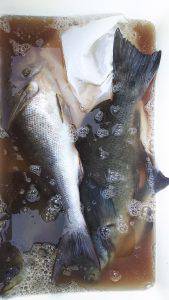 伊豆下田フィッシング 釣果