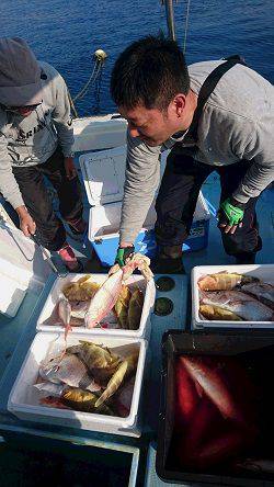 海皇丸 釣果