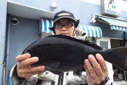 伊豆下田フィッシング 釣果