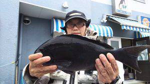 伊豆下田フィッシング 釣果