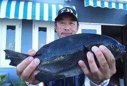 伊豆下田フィッシング 釣果