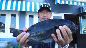 伊豆下田フィッシング 釣果