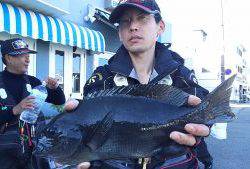 伊豆下田フィッシング 釣果