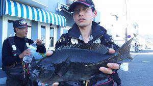 伊豆下田フィッシング 釣果