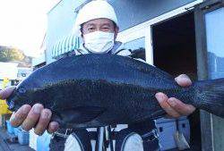 伊豆下田フィッシング 釣果