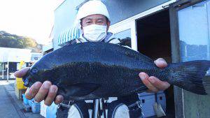 伊豆下田フィッシング 釣果