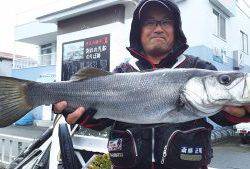 伊豆下田フィッシング 釣果