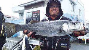 伊豆下田フィッシング 釣果