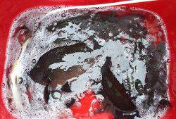 伊豆下田フィッシング 釣果