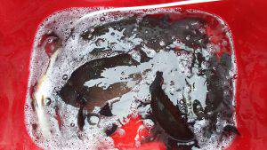 伊豆下田フィッシング 釣果