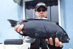 伊豆下田フィッシング 釣果