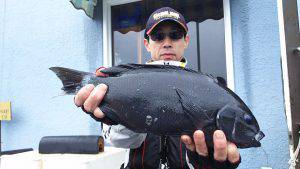 伊豆下田フィッシング 釣果