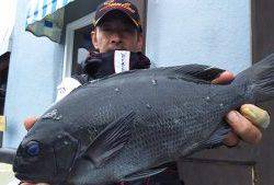 伊豆下田フィッシング 釣果