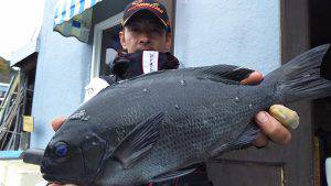 伊豆下田フィッシング 釣果