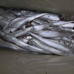 アジアマリンサービス 釣果