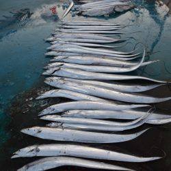 アジアマリンサービス 釣果