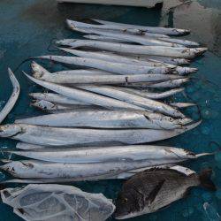 アジアマリンサービス 釣果