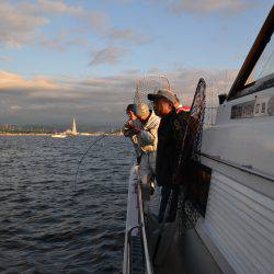 アジアマリンサービス 釣果